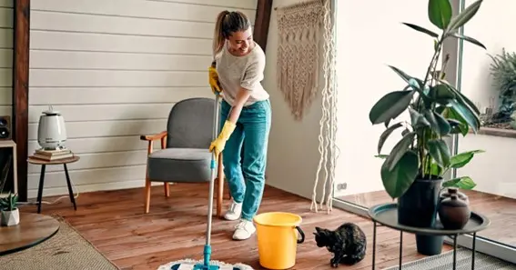 The Ultimate Guide to a Spotless Home with Professional Deep Cleaning
